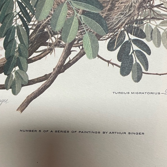 Vintage Arthur Singer Bird Print Number 5 & 6 of a Series - Picture 7 of 8